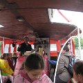 Szarvas 048